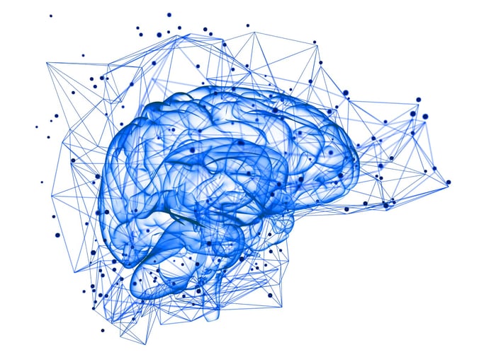 Human Brain and Artificial Intelligence